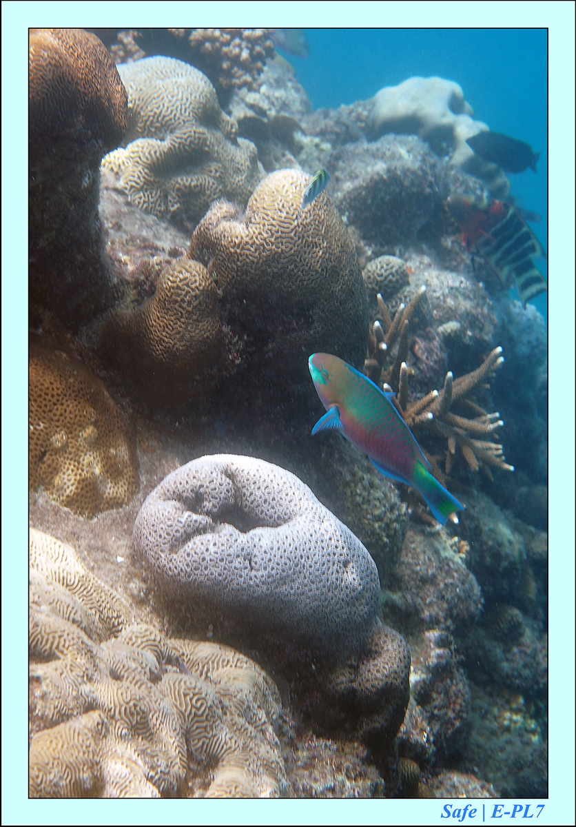 2015   07   Peranthian Islands 41